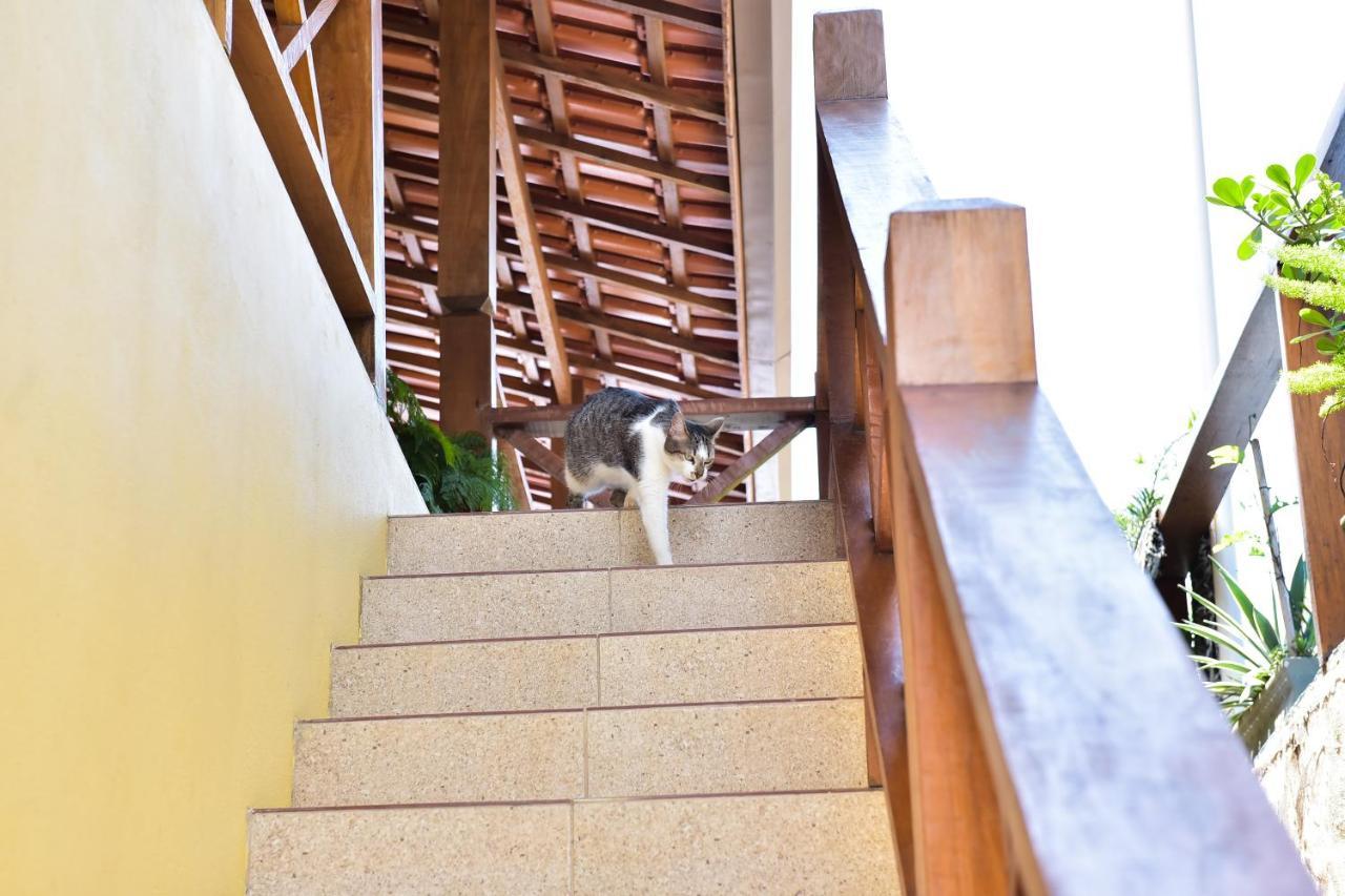 Guaiamu Suites อิลญาเบลา ภายนอก รูปภาพ